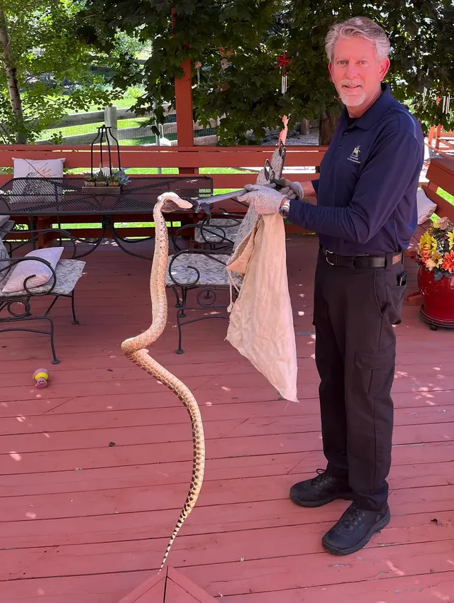Guardian Pest Management — customer photo 8