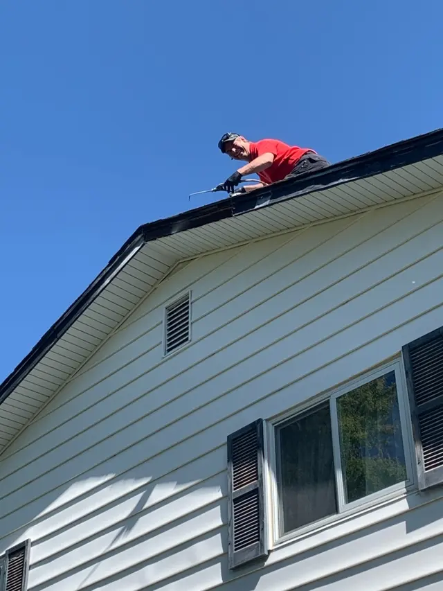 Affordable Pest Services — photo from the business 4