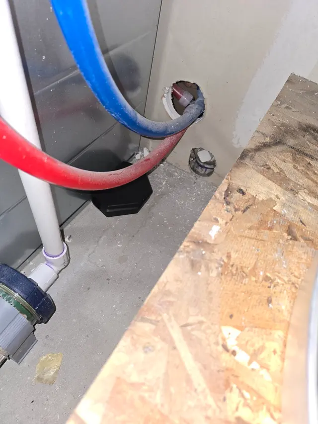 Affordable Pest Services — photo from the business 8