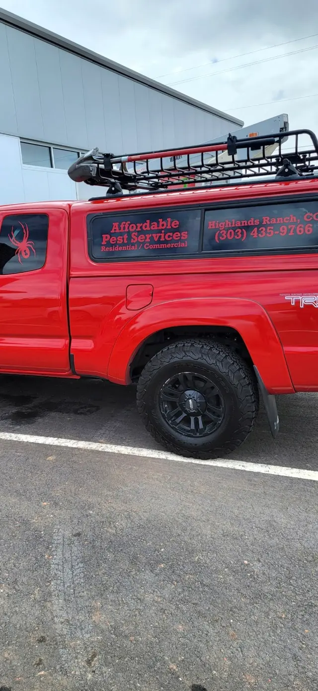 Affordable Pest Services — photo from the business 2