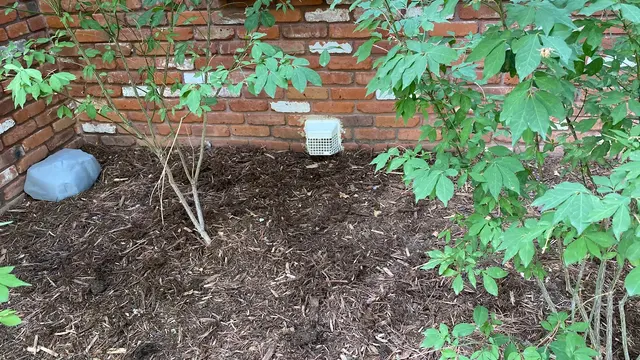 Wolfco Pest Control — photo from the business 9