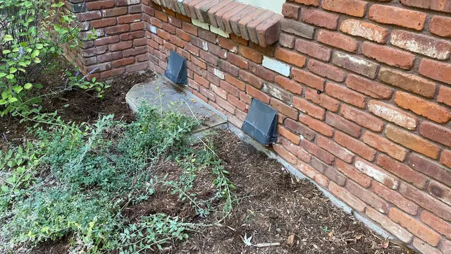Wolfco Pest Control — photo from the business 7