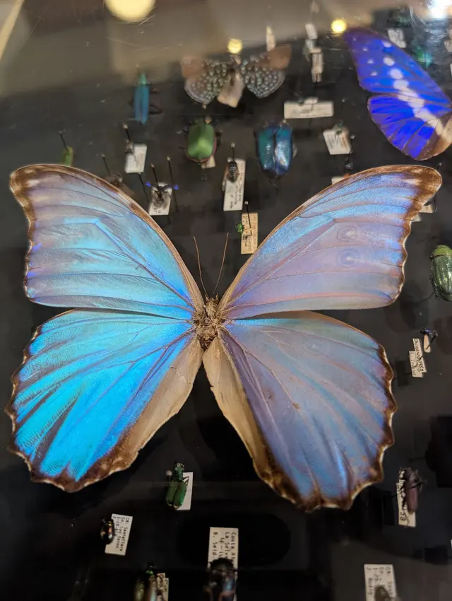 Insect Zoo — customer photo 3