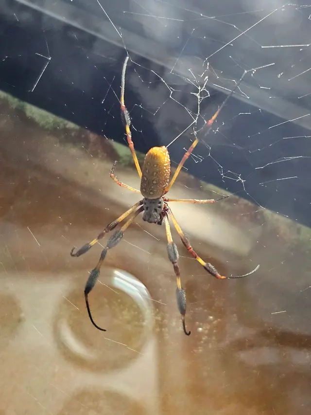 Insect Zoo — customer photo 5