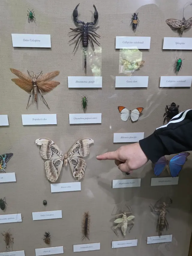 Insect Zoo — customer photo 1