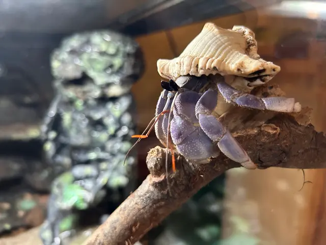 Insect Zoo — customer photo 10