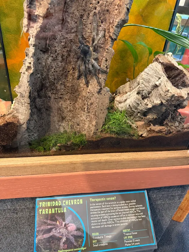 Insect Zoo — customer photo 9