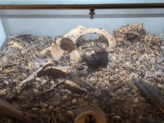 Insect Zoo — customer photo 4