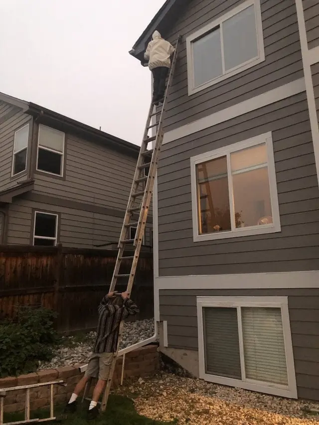 Comfort Pest Control — photo from the business 6