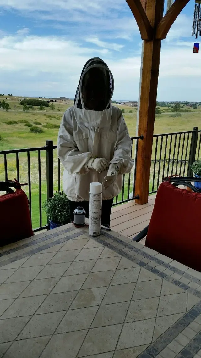 Comfort Pest Control — photo from the business 3