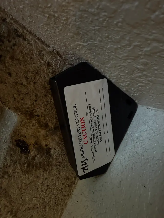 Absolute Pest Control, Inc — customer photo 12