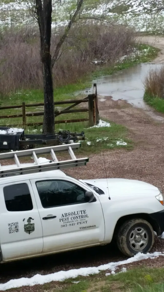 Absolute Pest Control, Inc — photo from the business 8