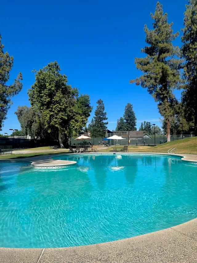 Jorden Sobonya’s Swim School — photo from the business 1