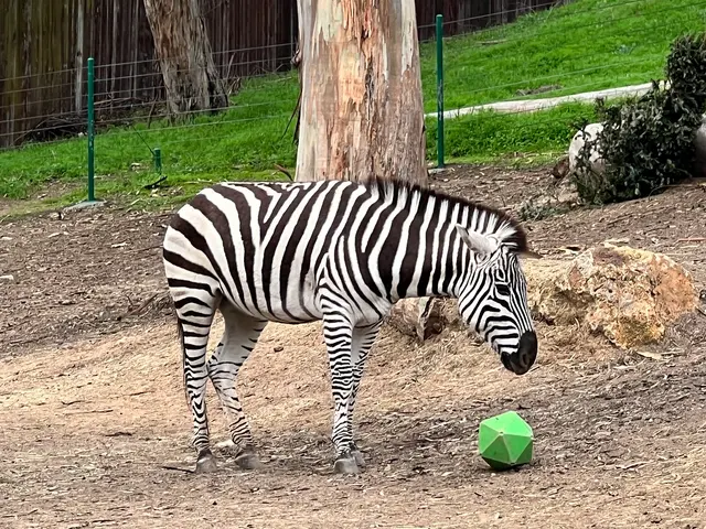 Oakland Zoo — customer photo 3