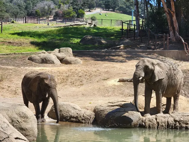Oakland Zoo — customer photo 9