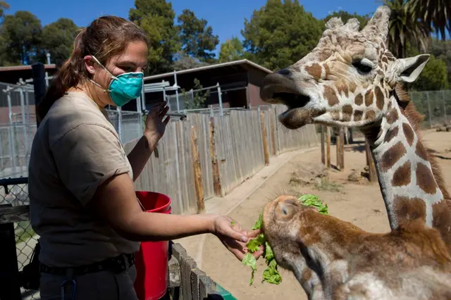 Oakland Zoo — customer photo 2