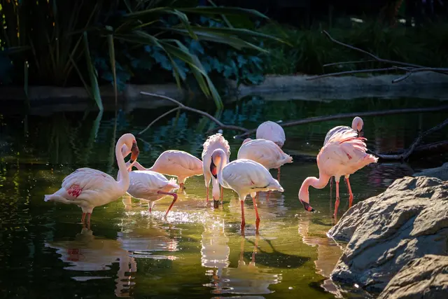 Oakland Zoo — customer photo 10