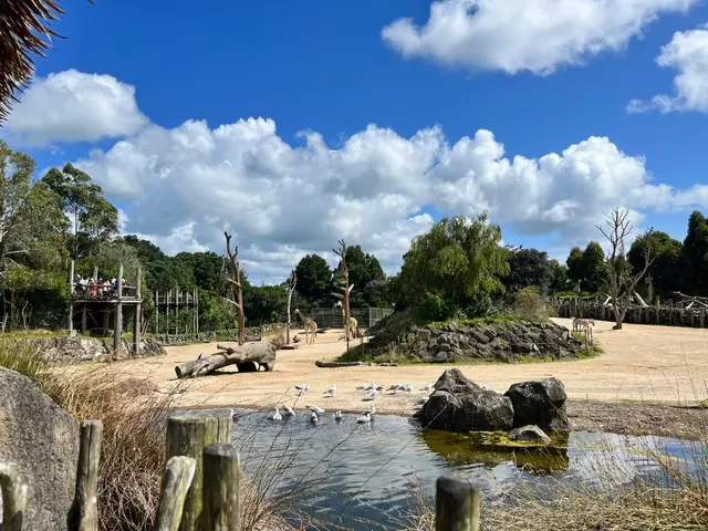Oakland Zoo — customer photo 11