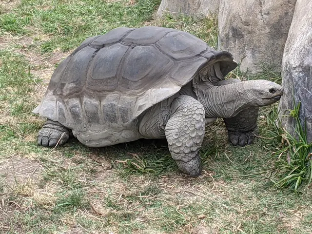 Oakland Zoo — customer photo 5