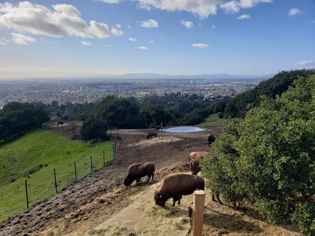 Oakland Zoo — customer photo 4