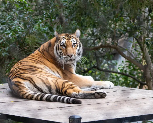 Oakland Zoo — customer photo 7