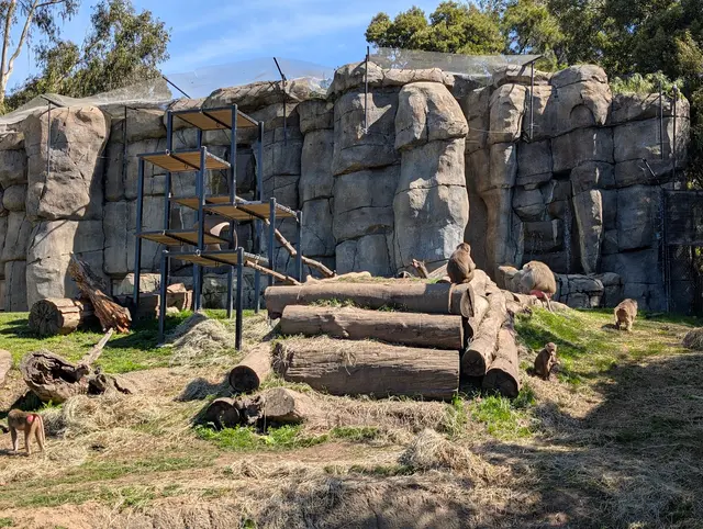 Oakland Zoo — customer photo 12