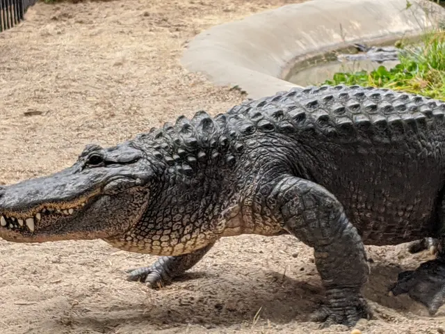 Oakland Zoo — customer photo 8