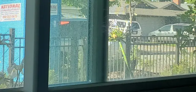 Orange Window Cleaning — customer photo 10
