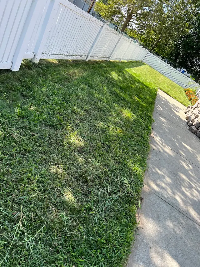 TJ's Landscaping — customer photo 4