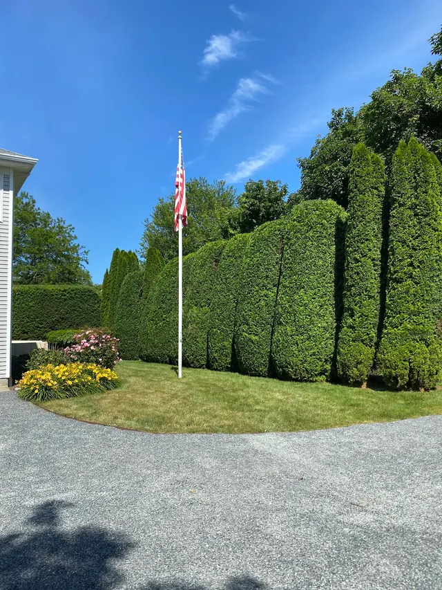 Lamontagne Landscaping and Tree Services LLC — photo from the business 11