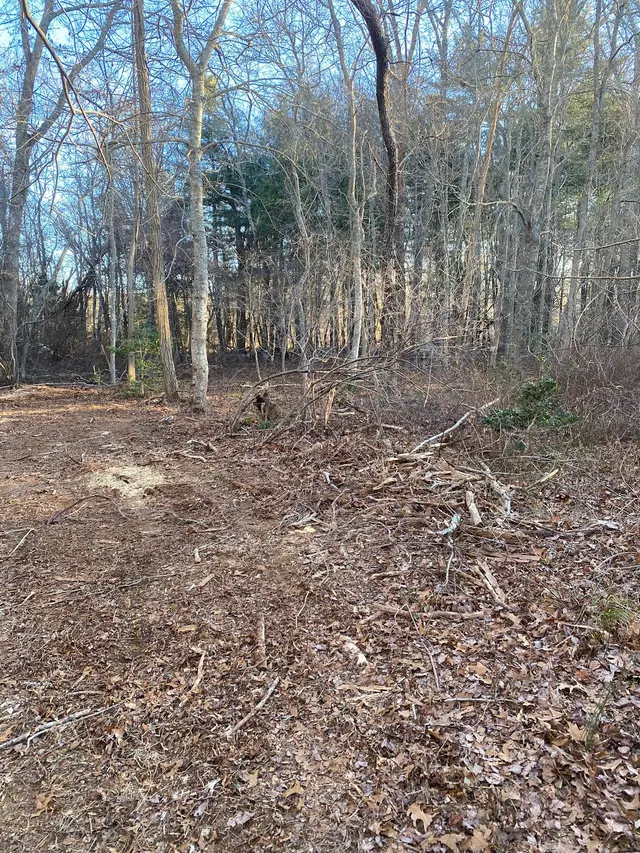Lamontagne Landscaping and Tree Services LLC — photo from the business 10