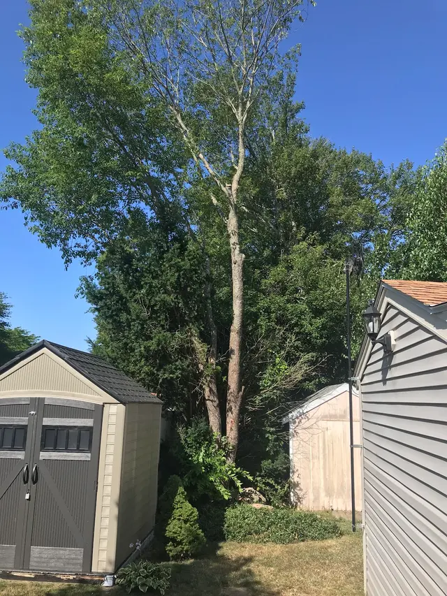 Lamontagne Landscaping and Tree Services LLC — photo from the business 8