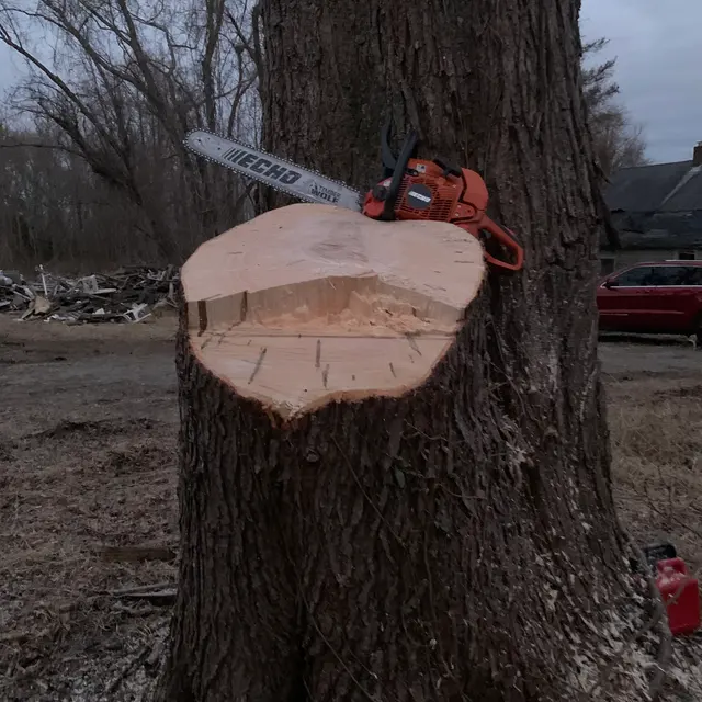 Lamontagne Landscaping and Tree Services LLC — photo from the business 9