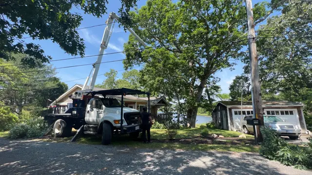 Oasis Tree Care — photo from the business 2