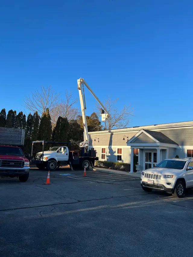 Oasis Tree Care — photo from the business 8