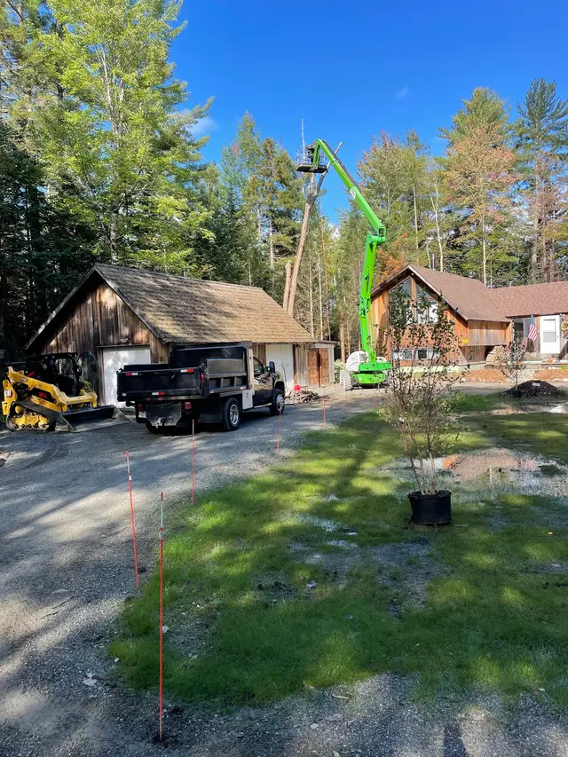 Oasis Tree Care — photo from the business 9