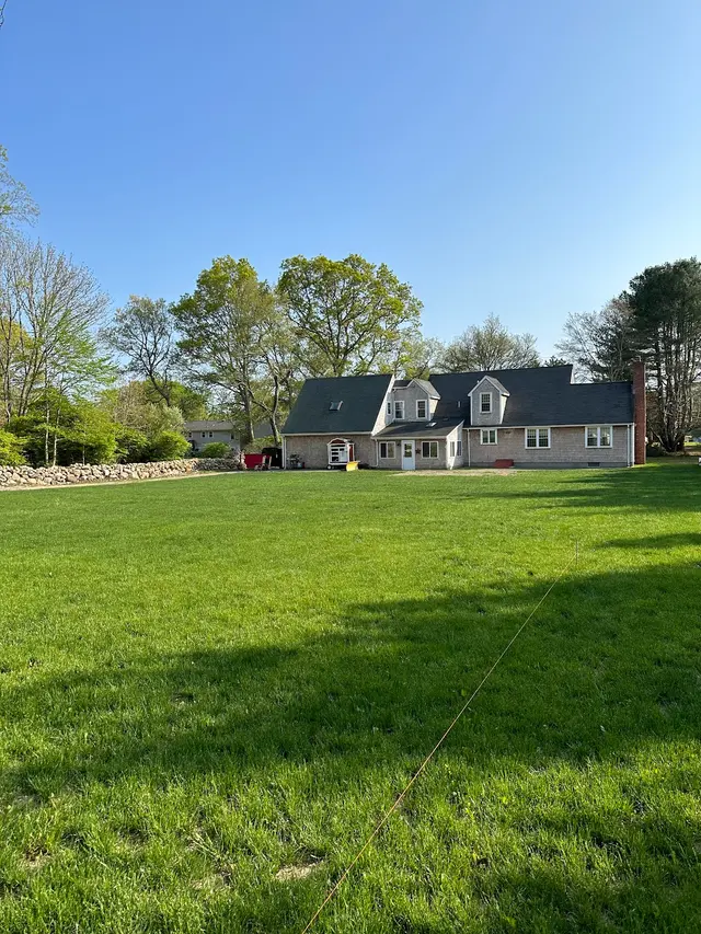 Customer photo of work by Oasis Tree Care, from Nelson Carreiro's review