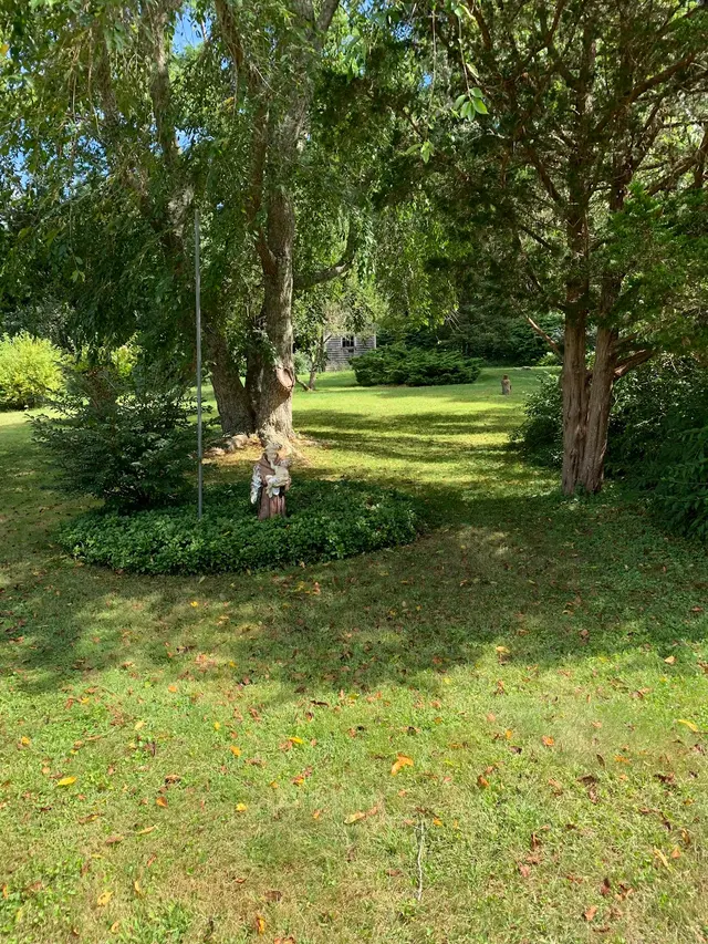 Customer photo of work by Oasis Tree Care, from Nelson Carreiro's review
