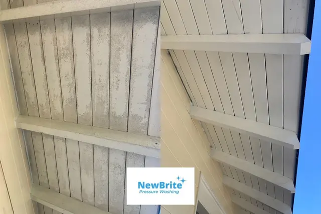 NewBrite Pressure Washing — photo from the business 11