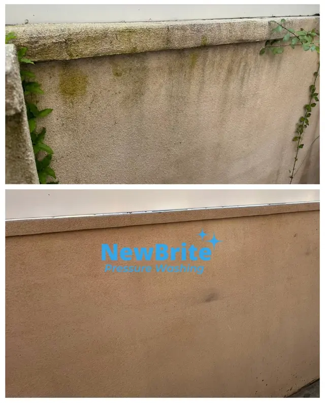 NewBrite Pressure Washing — customer photo 4