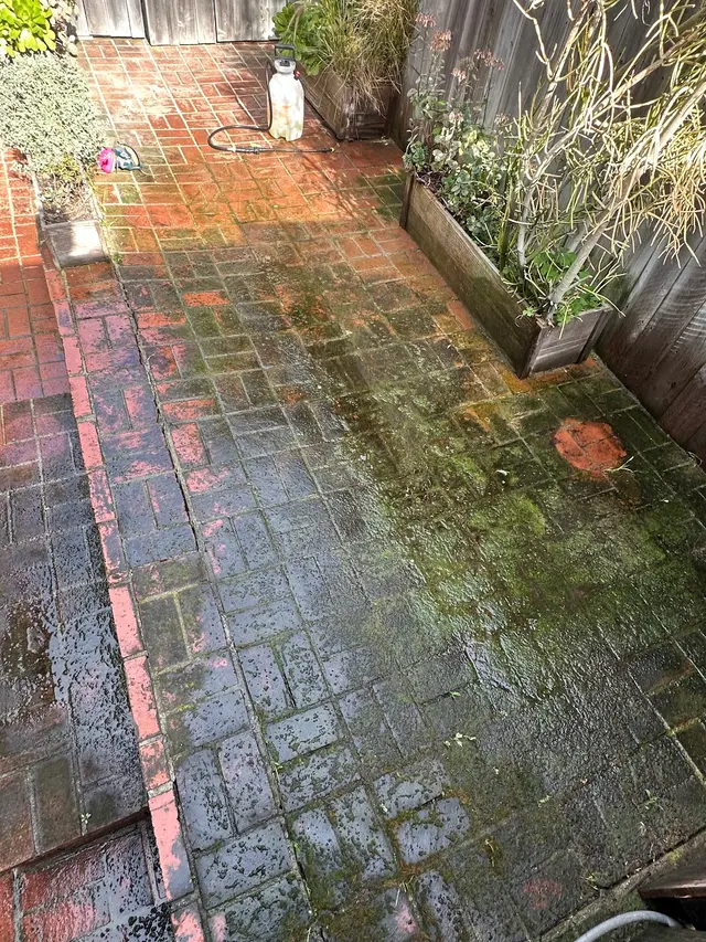 NewBrite Pressure Washing — photo from the business 1