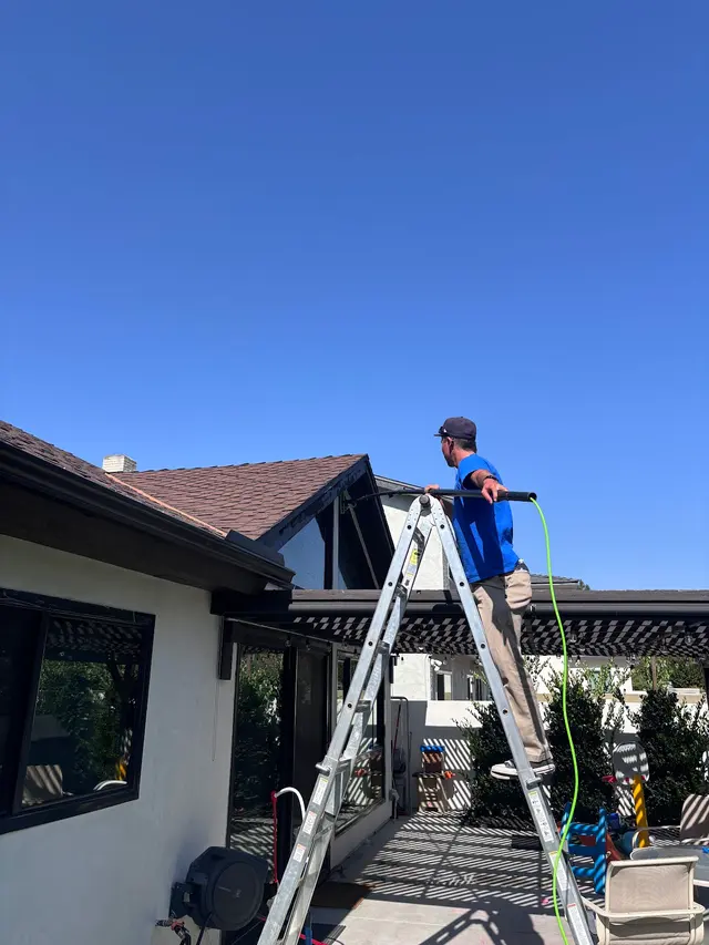 Rhine Cleaning — photo from the business 11