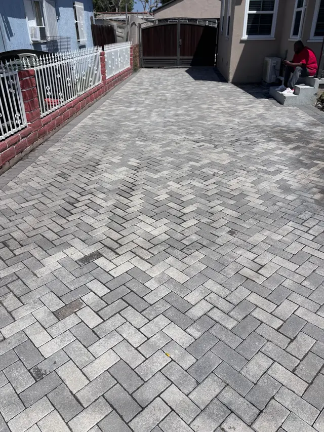 Rhine Cleaning — photo from the business 8