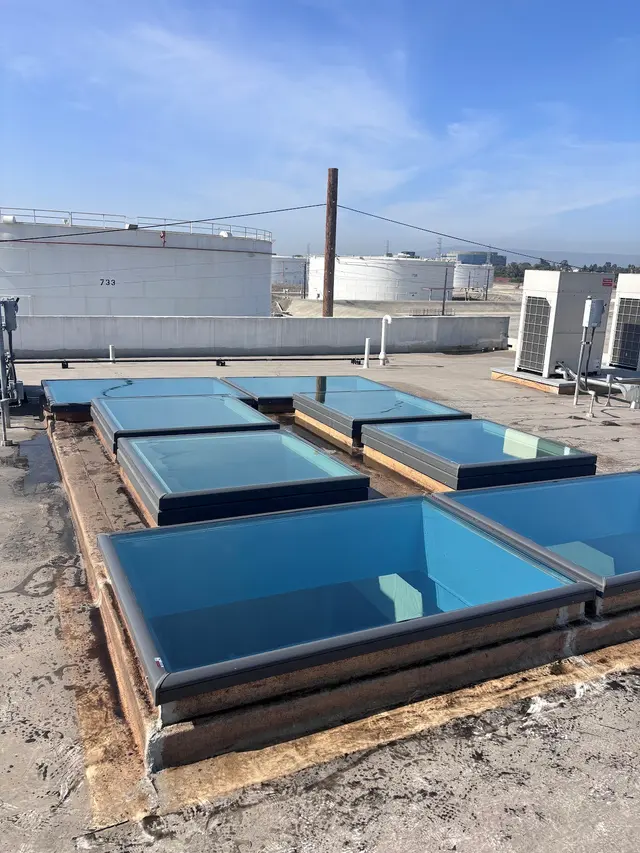 Rhine Cleaning — photo from the business 4