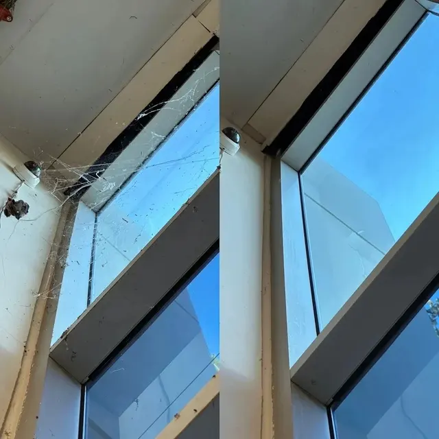 Dynamic Cleaning Services - Pressure washing — photo from the business 5