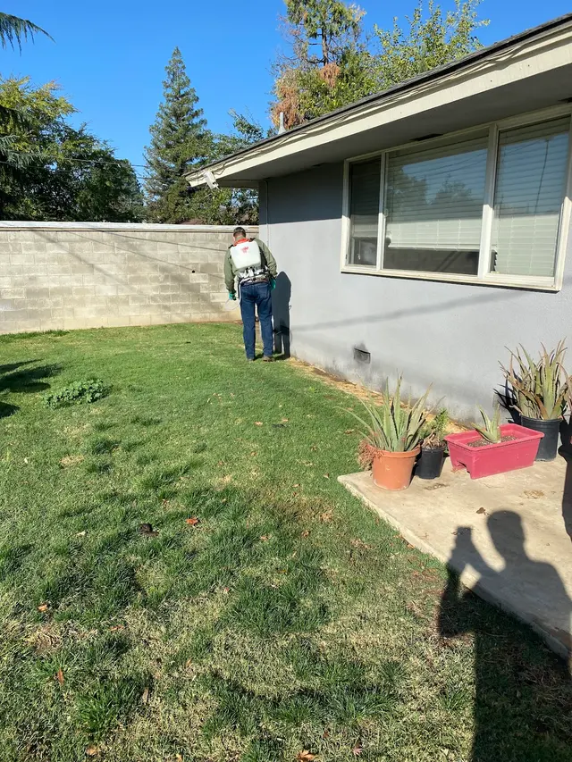 Main Creek Pest Solutions Inc. — photo from the business 8