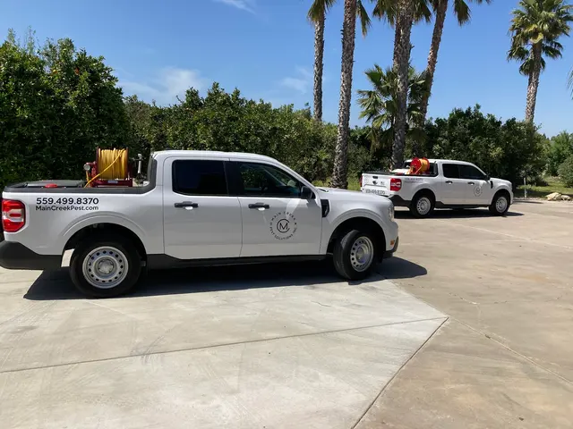Main Creek Pest Solutions Inc. — photo from the business 1