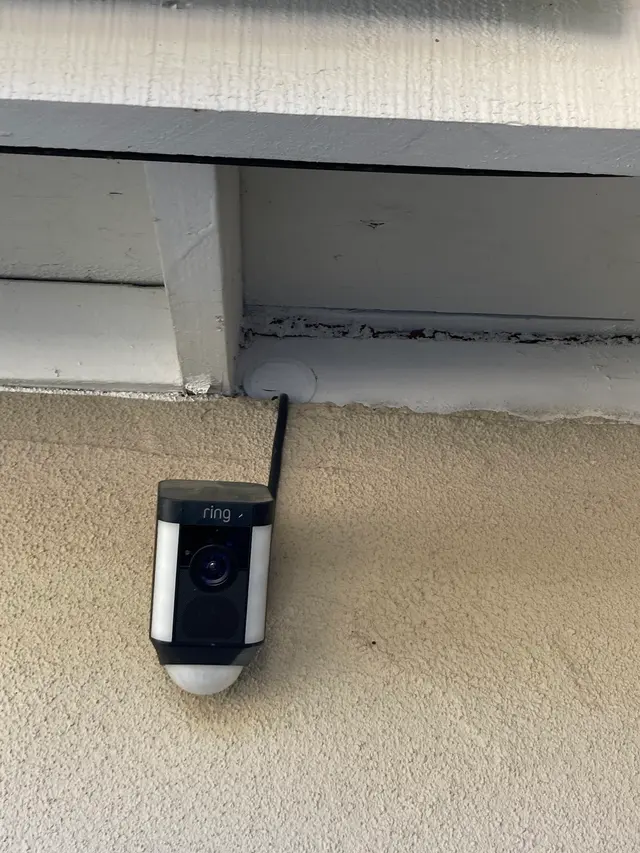 Main Creek Pest Solutions Inc. — photo from the business 12