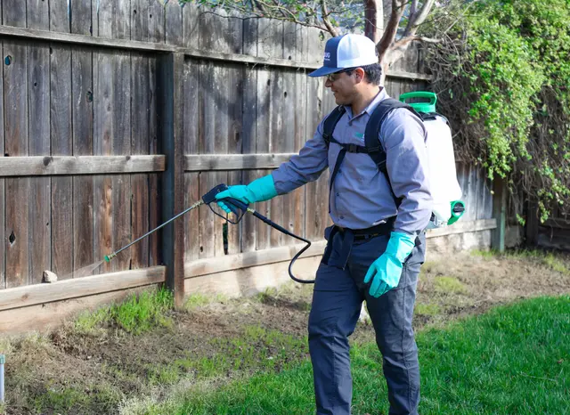 TruBug Pest Control — photo from the business 5