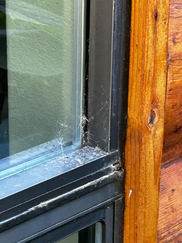 TruBug Pest Control — customer photo 9